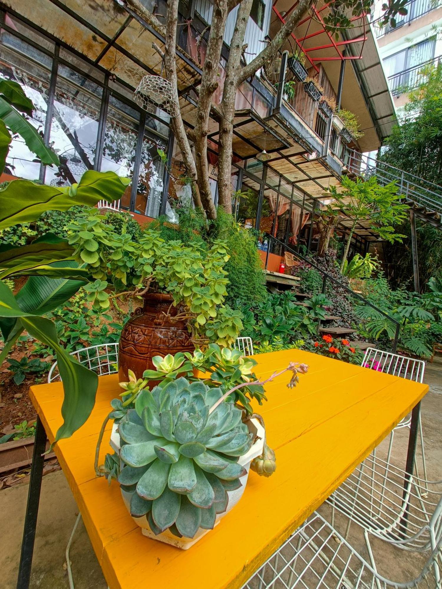 Lalaland Homestay Da Lat Kamer foto
