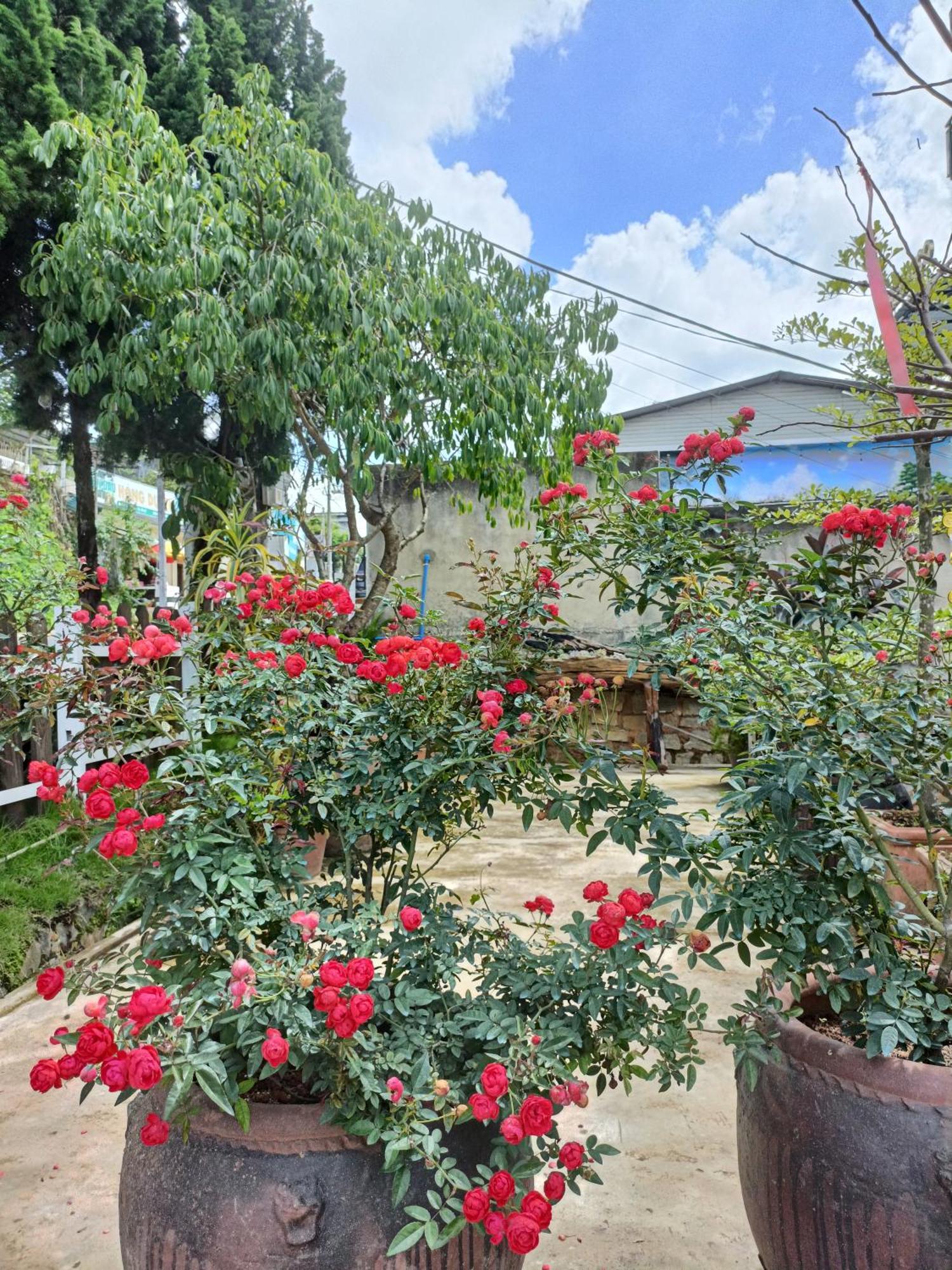 Lalaland Homestay Da Lat Buitenkant foto